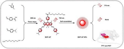 Novel BODIPY-based nano-biomaterials with enhanced D-A-D structure for NIR-triggered photodynamic and photothermal therapy