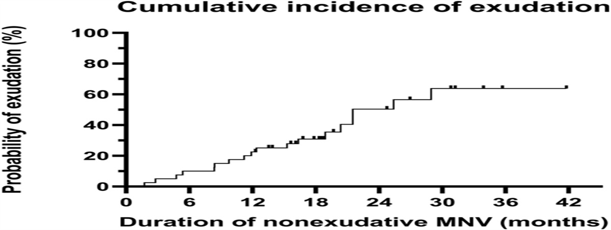 MORPHOLOGICAL BIOMARKERS PREDICTING EXUDATIVE CONVERSION IN TYPE 1 NONEXUDATIVE MACULAR NEOVASCULARIZATION USING OPTICAL COHERENCE TOMOGRAPHY ANGIOGRAPHY