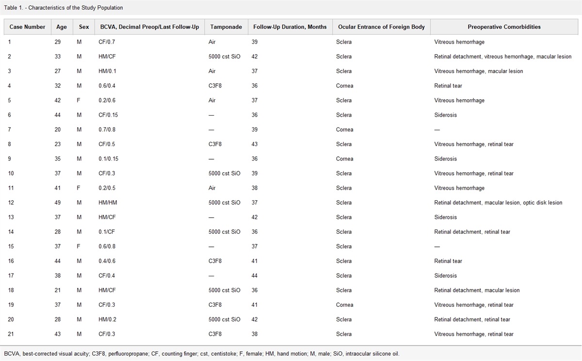 A Modification of the Intraocular Lens Blocking Technique Without Posterior Capsulorhexis for Intraocular Foreign Body Removal