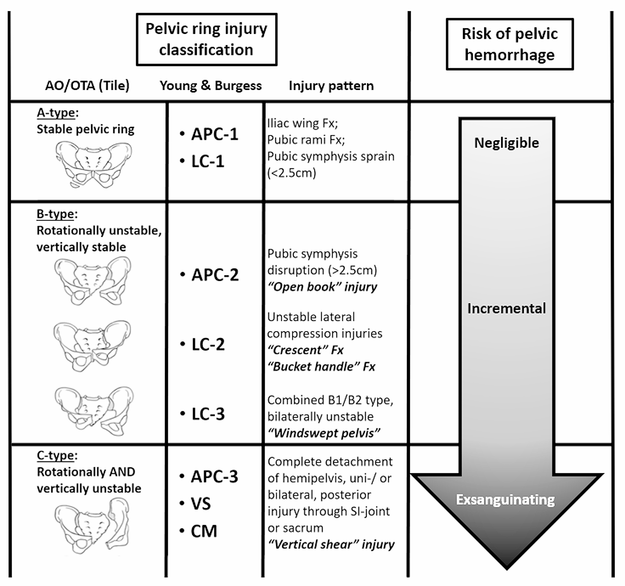 The pathophysiology of pelvic ring injuries: a review