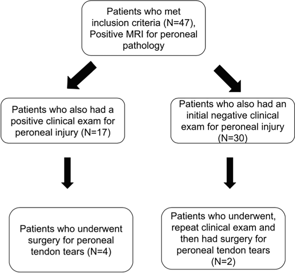 MRI findings of peroneal tendon tears do not necessarily correlate to clinical findings in paediatric and adolescent patients