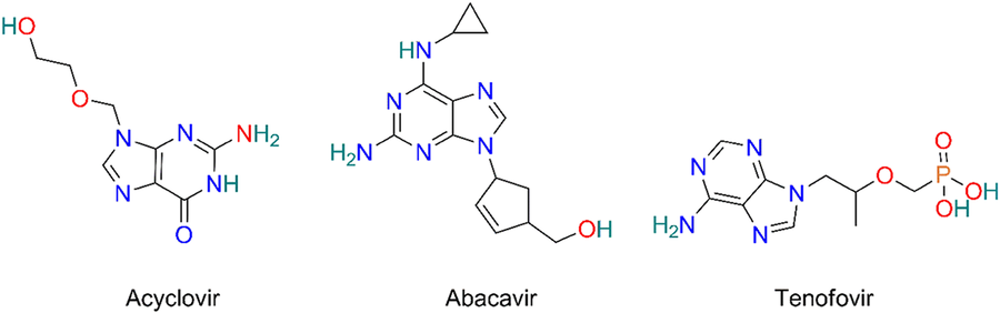 Exploring nucleoside analogs: key targets in the viral life cycle - advancing strategies against SARS-CoV-2