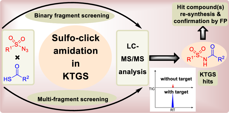 The emergence of sulfo-click amidation in kinetic target-guided synthesis