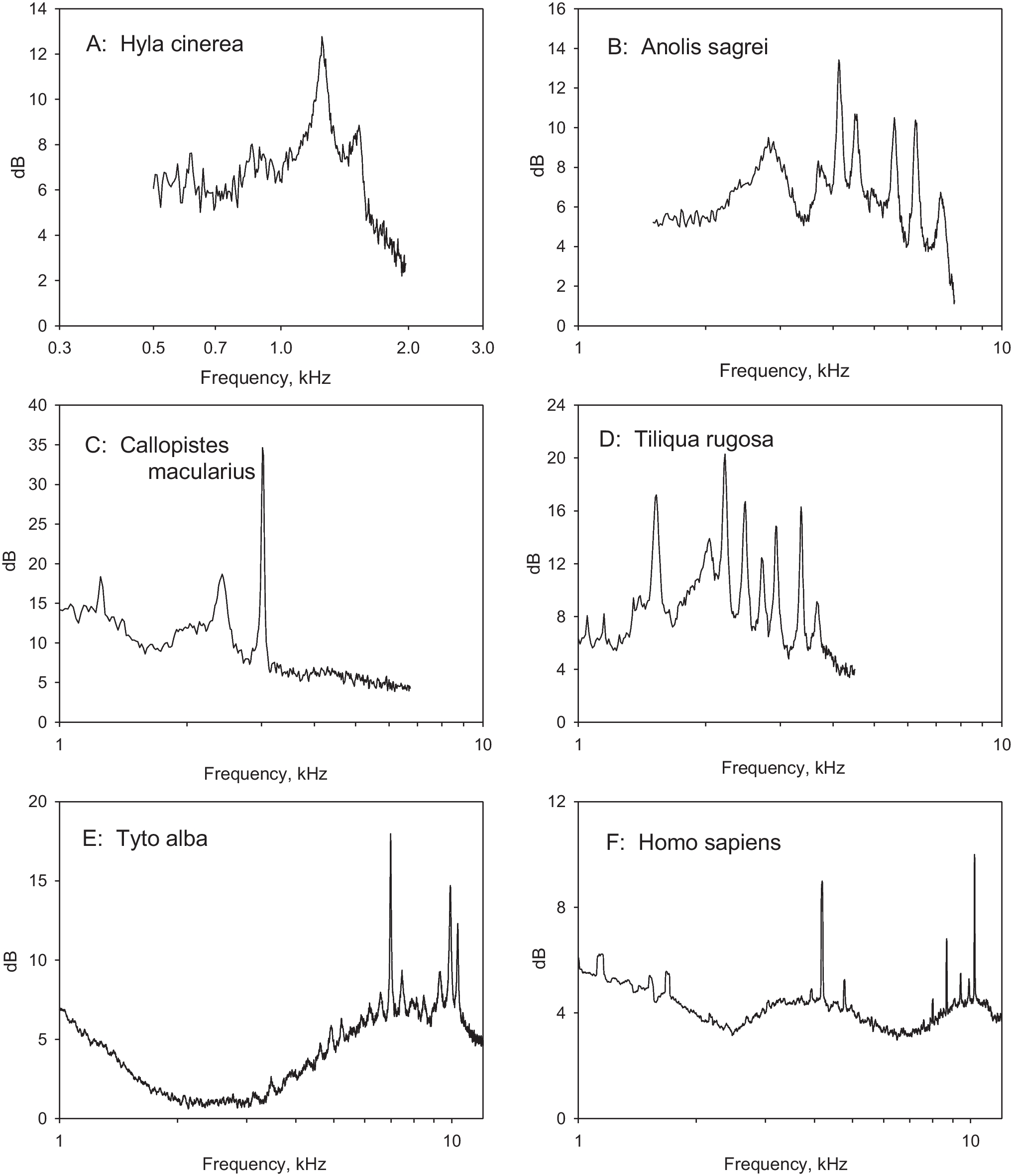 Conditions Underlying the Appearance of Spontaneous Otoacoustic Emissions in Mammals