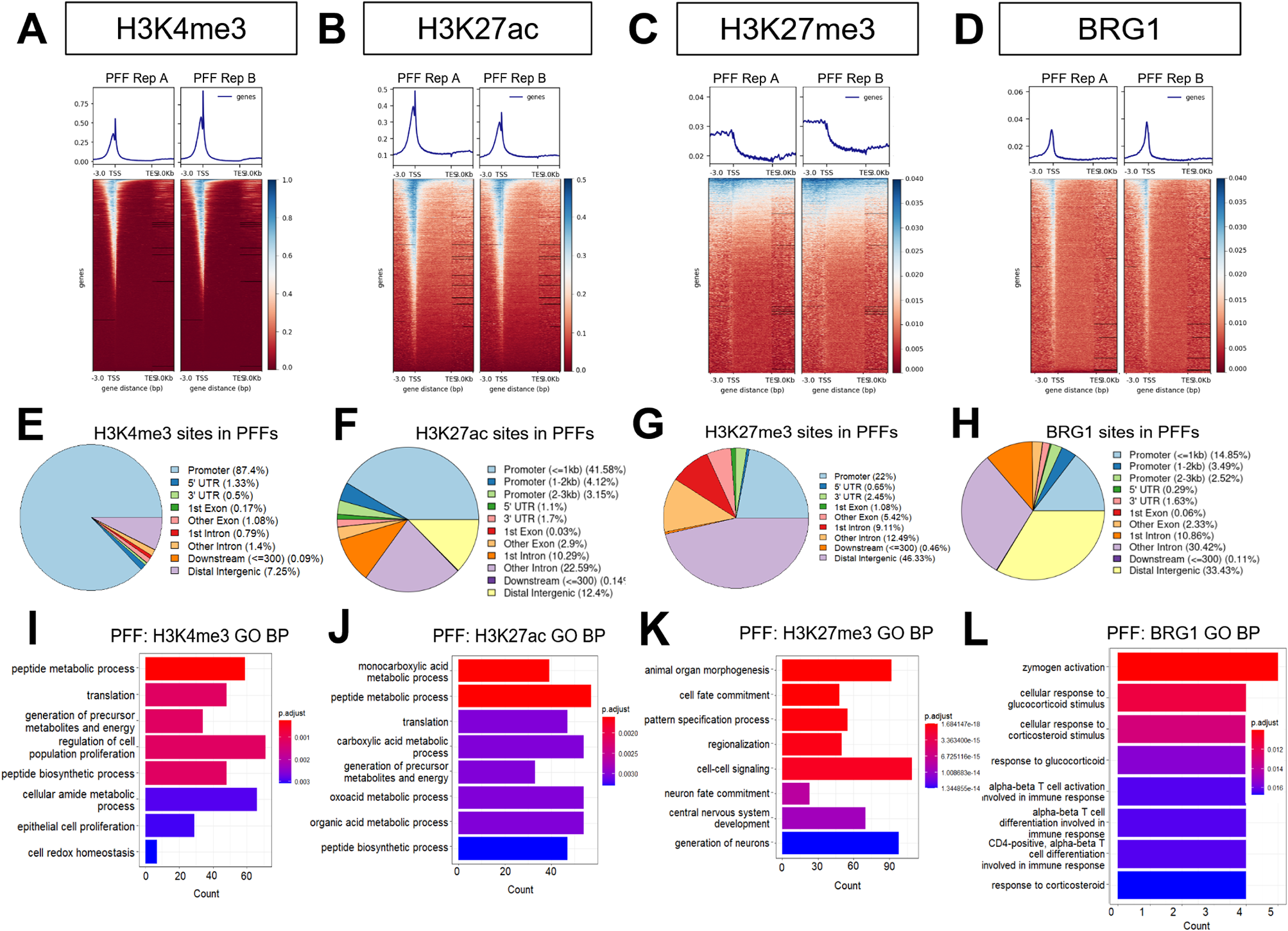 Chromatin profiling and state predictions reveal insights into epigenetic regulation during early porcine development