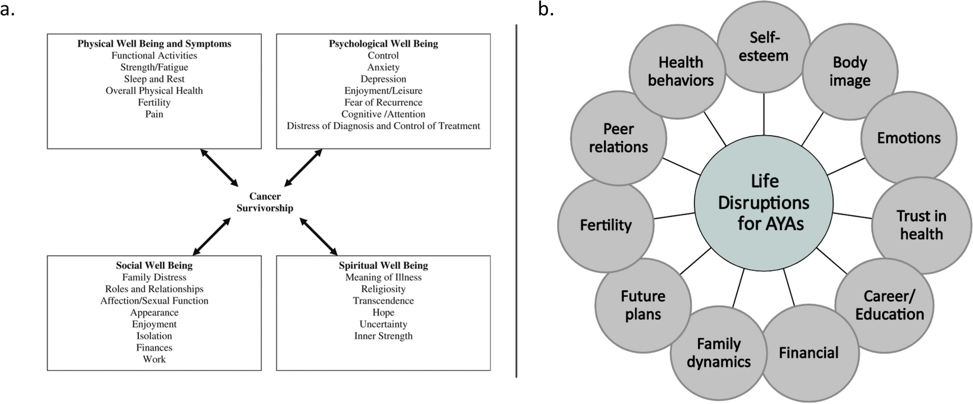 The sequelae of hematopoietic stem cell transplantation in adolescents and young adults: protocol for a systematic review