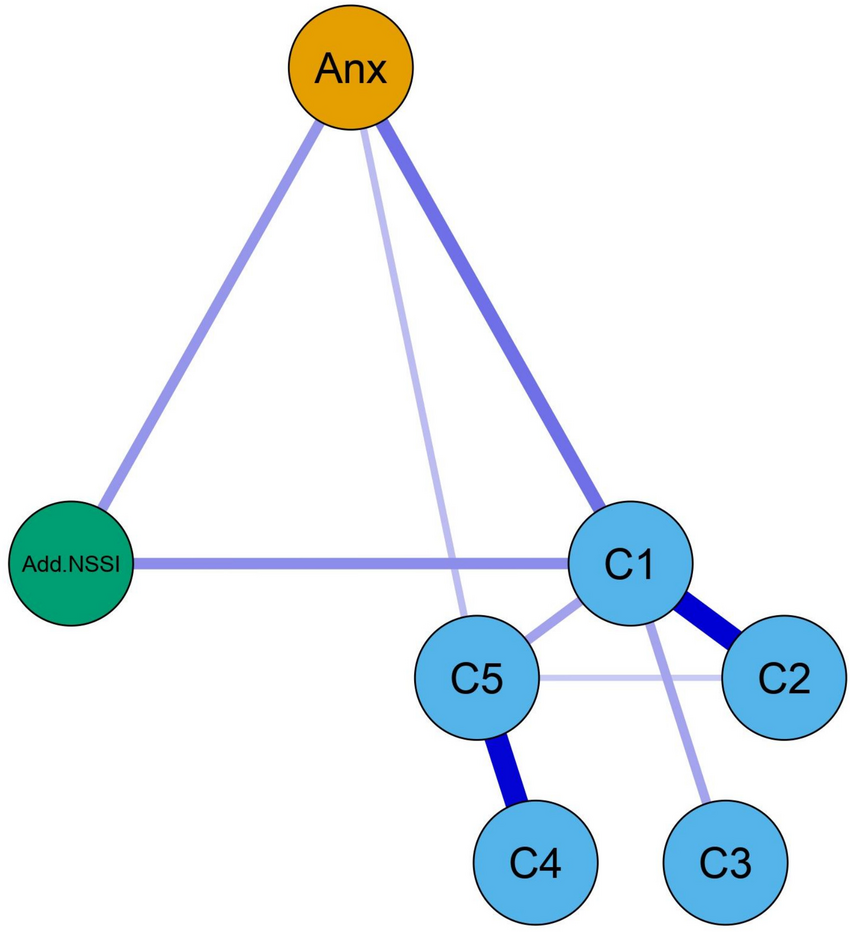 Network Analysis of Childhood Maltreatment, Anxiety, and Addictive Non-Suicidal Self-injury in Adolescents