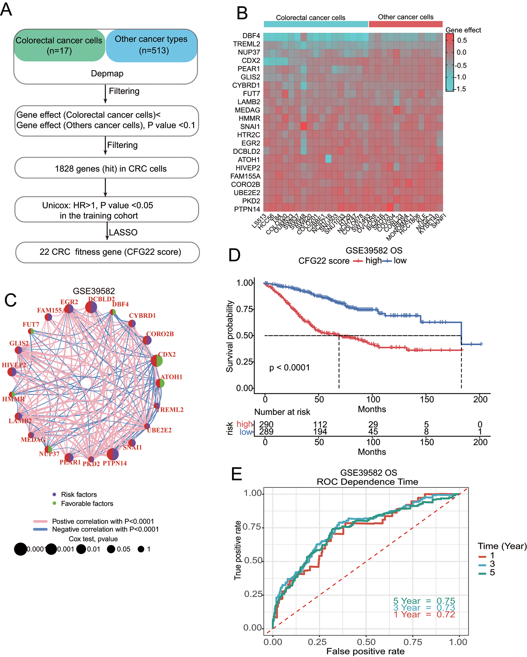 Genome wide-scale CRISPR-Cas9 knockout screens identify a fitness score for optimized risk stratification in colorectal cancer