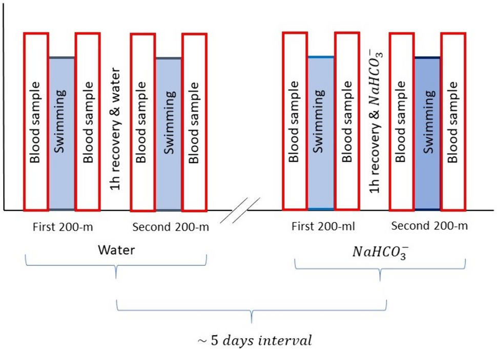 The effects of sodium hydrogen carbonate ingestion during the recovery period between two 200-m front-crawl time trials