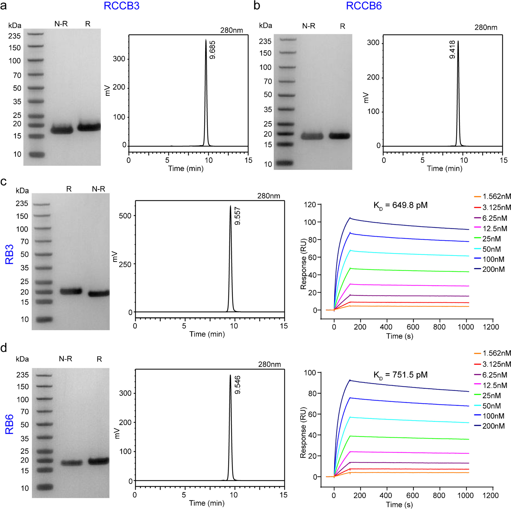 ImmunoPET/CT imaging of clear cell renal cell carcinoma with [18F]RCCB6: a first-in-human study