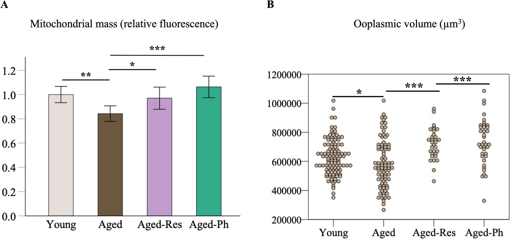 Chemical reversion of age-related oocyte dysfunction fails to enhance embryo development in a bovine model of postovulatory aging