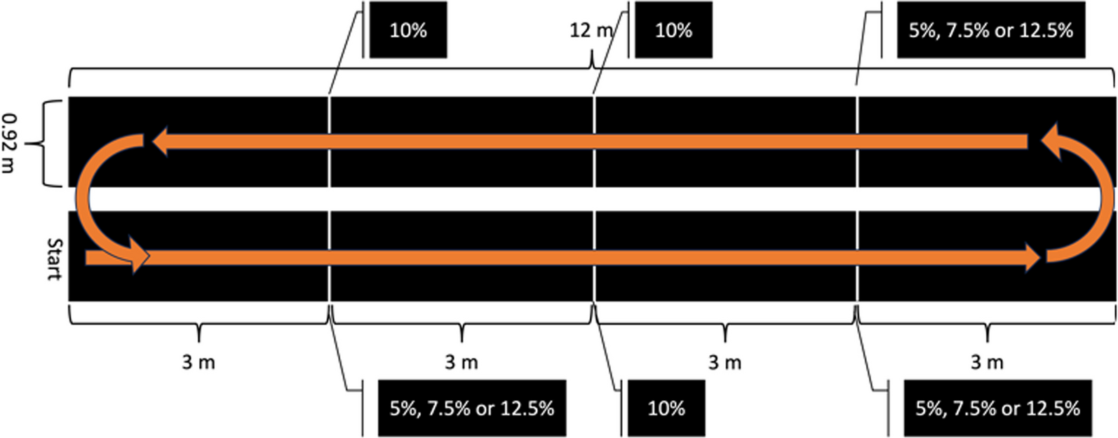 Enhancing fall risk assessment: instrumenting vision with deep learning during walks