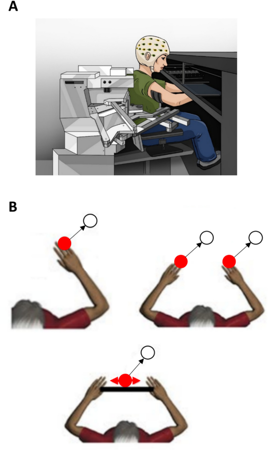 Bimanual coordination and spinal cord neuromodulation: how neural substrates of bimanual movements are altered by transcutaneous spinal cord stimulation