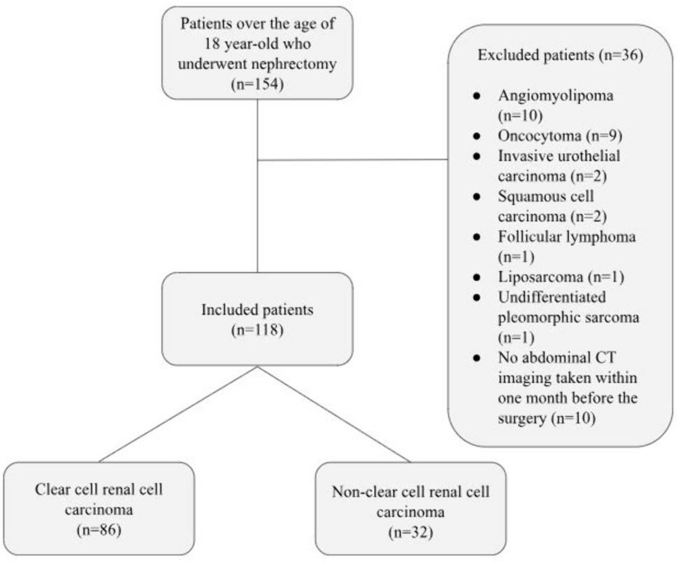 The prognostic role of perirenal fat tissue in non-metastatic renal cell carcinoma