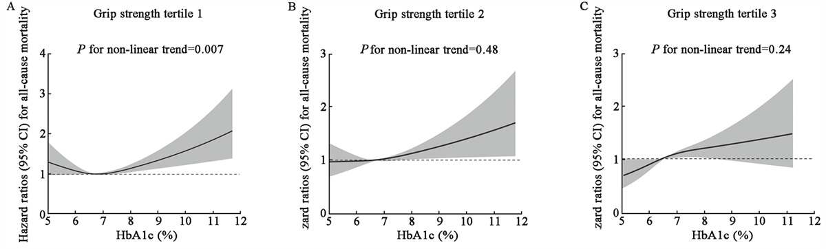 Potential modifying effect of grip strength on the association between glycated hemoglobin (HbA1c) and all-cause mortality in older adults with type 2 diabetes: Evidence from UK Biobank