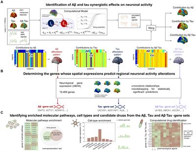 In-vivo neuronal dysfunction by Aβ and tau overlaps with brain-wide inflammatory mechanisms in Alzheimer’s disease