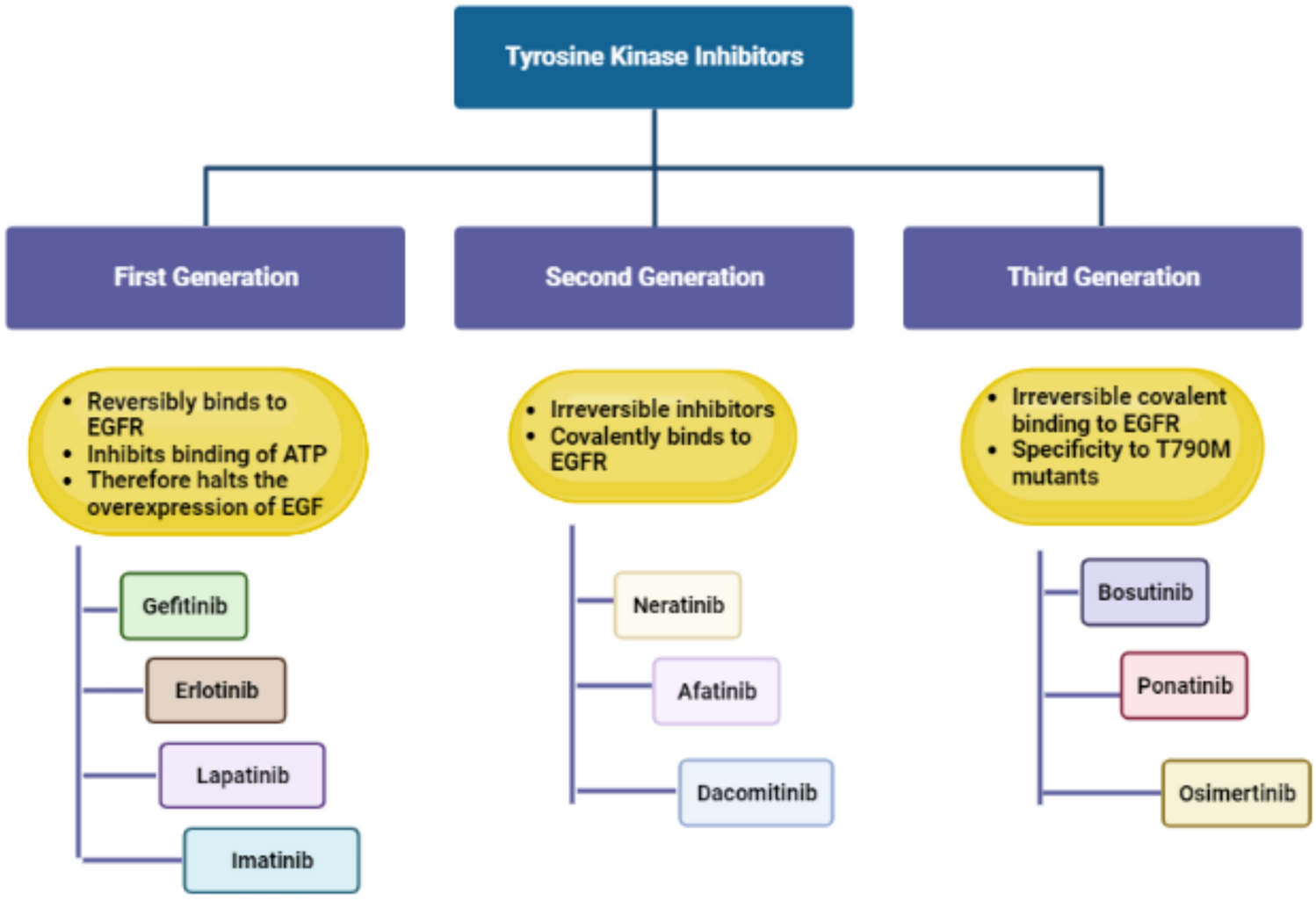 Multifaceted role of erlotinib in various cancer: nanotechnology intervention, patent landscape, and advancements in clinical trials