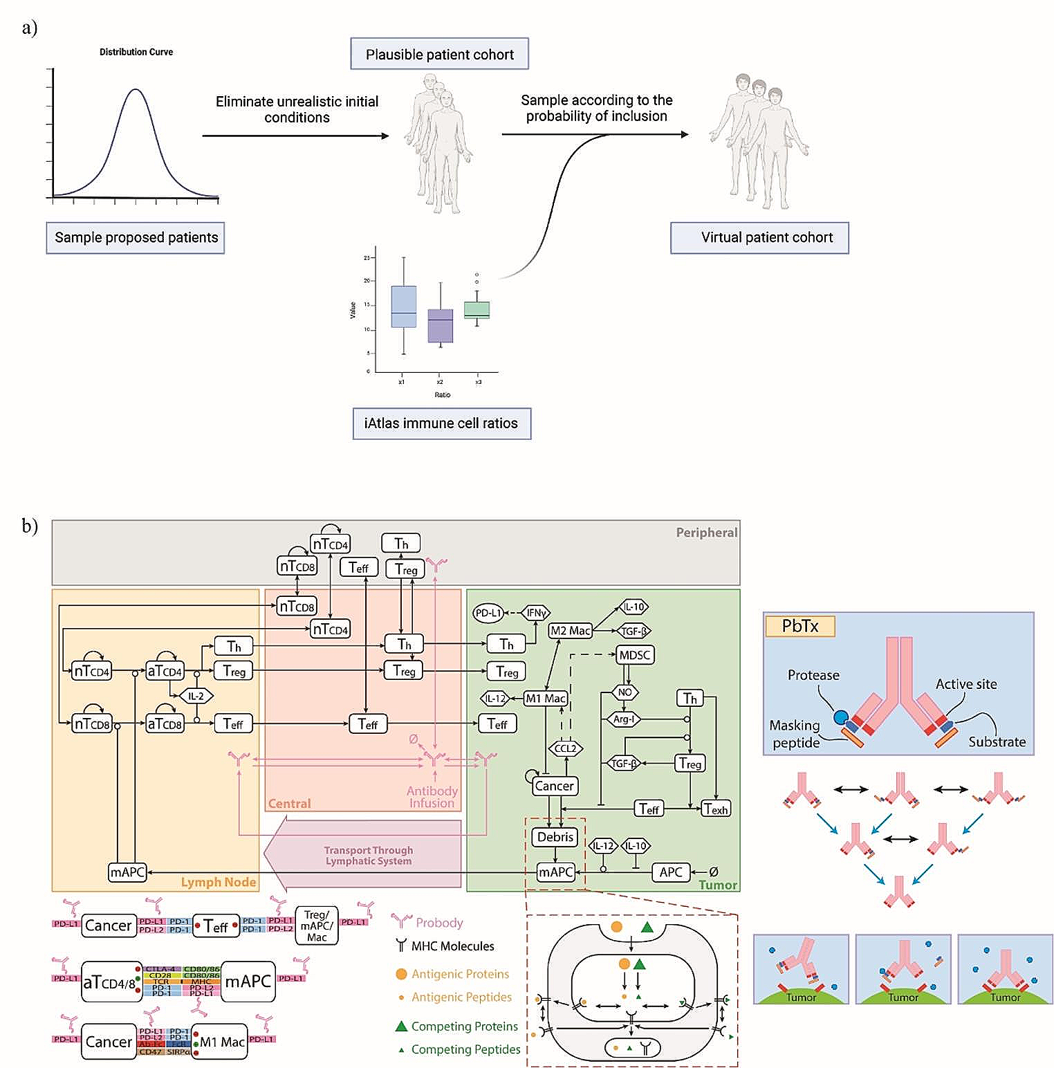 Virtual clinical trials via a QSP immuno-oncology model to simulate the response to a conditionally activated PD-L1 targeting antibody in NSCLC