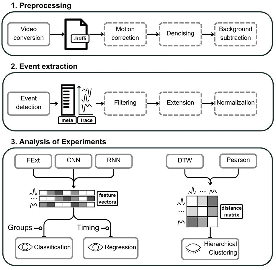 Astrocytic Calcium Signaling Toolkit (astroCaST): efficient analysis of dynamic astrocytic calcium events