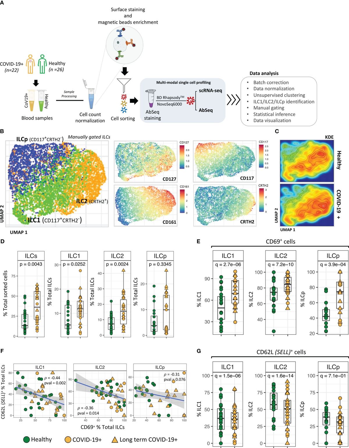 Single cell multi-omic analysis identifies key genes differentially expressed in innate lymphoid cells from COVID-19 patients