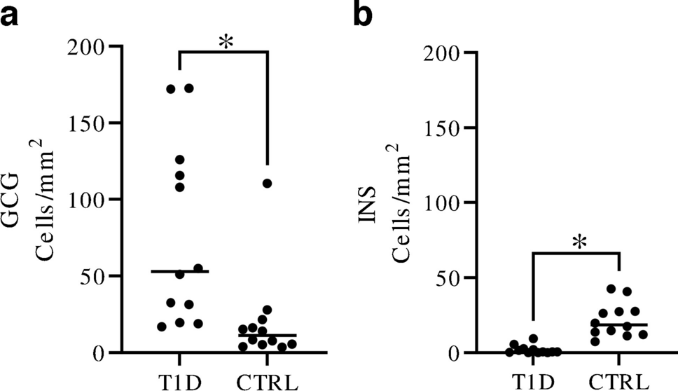 Loss of insulin-expressing extra-islet cells in type 1 diabetes is accompanied with increased number of glucagon-expressing extra-islet cells