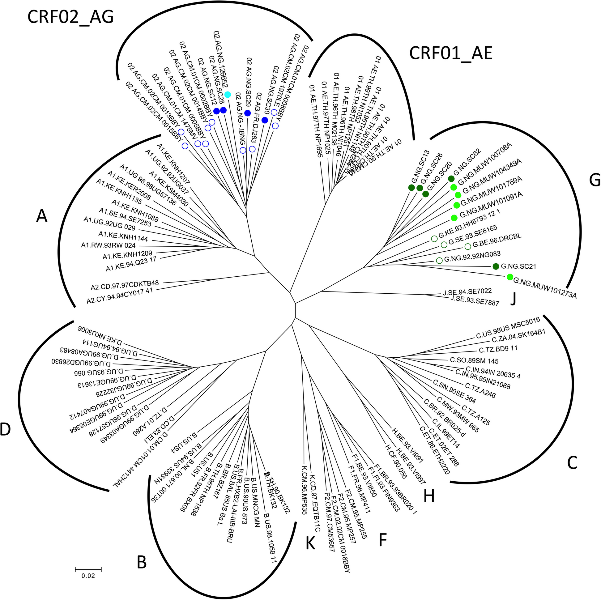 Differences in neutralizing antibody sensitivities and envelope characteristics indicate distinct antigenic properties of Nigerian HIV-1 subtype G and CRF02_AG