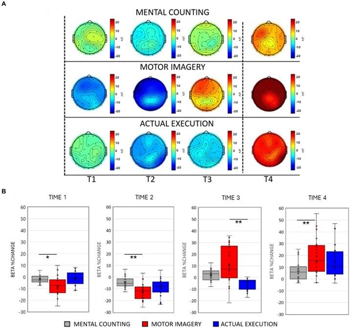 Neural correlates of motor imagery and execution in real-world dynamic behavior: evidence for similarities and differences