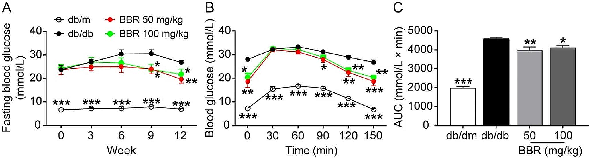 Berberine improves cognitive impairment by alleviating brain atrophy and promoting white matter reorganization in diabetic db/db mice: a magnetic resonance imaging-based study