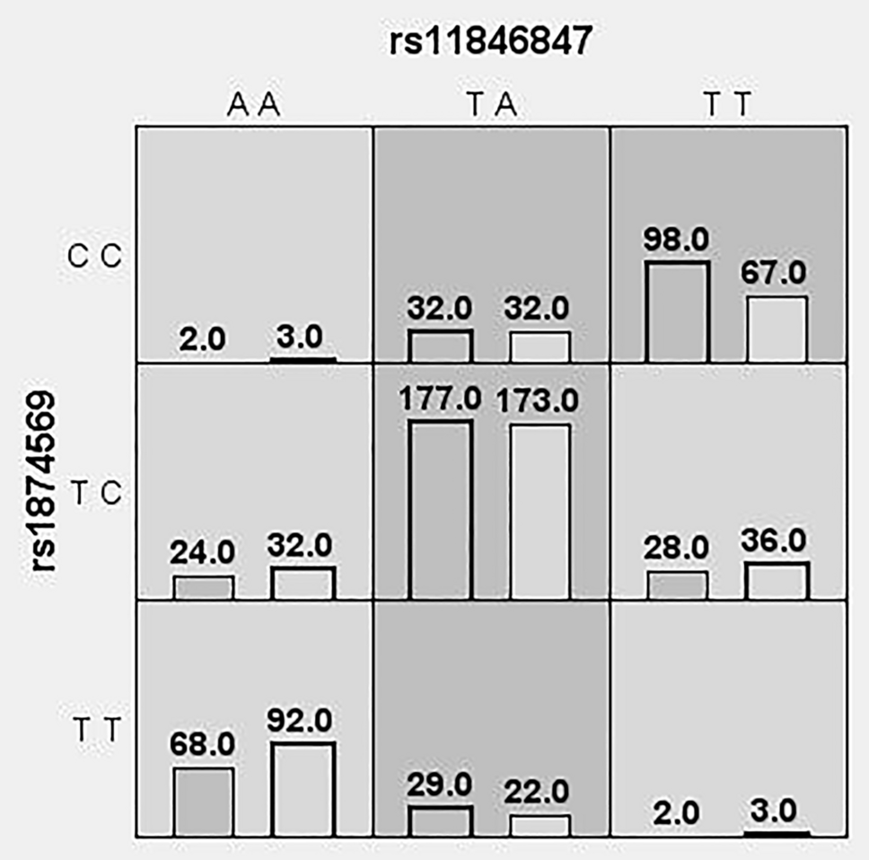 Association of NID2 SNPs with Glioma Risk and Prognosis in the Chinese Population