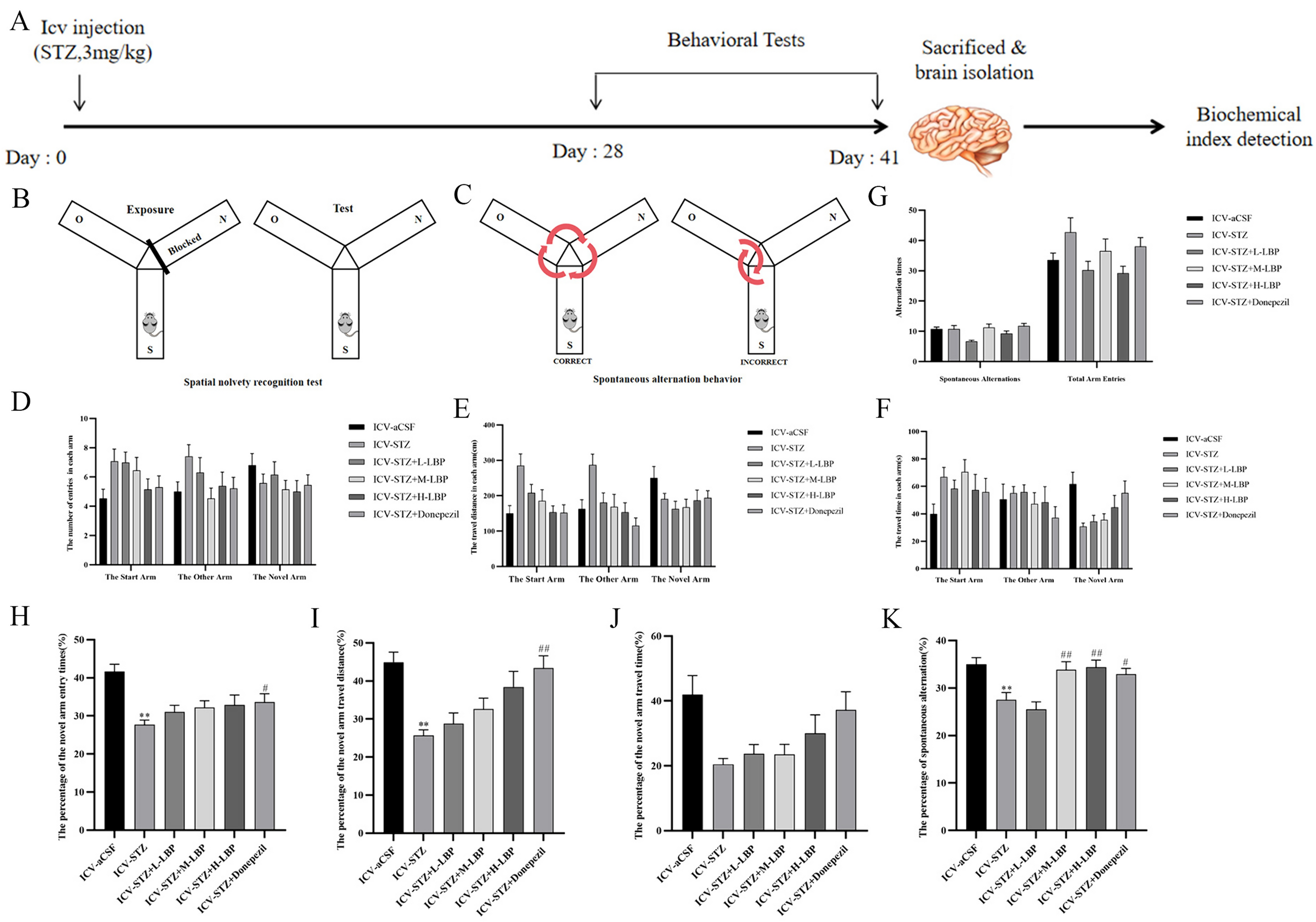 Lycium Barbarum Polysaccharides Improves Cognitive Functions in ICV-STZ-Induced Alzheimer’s Disease Mice Model by Improving the Synaptic Structural Plasticity and Regulating IRS1/PI3K/AKT Signaling Pathway