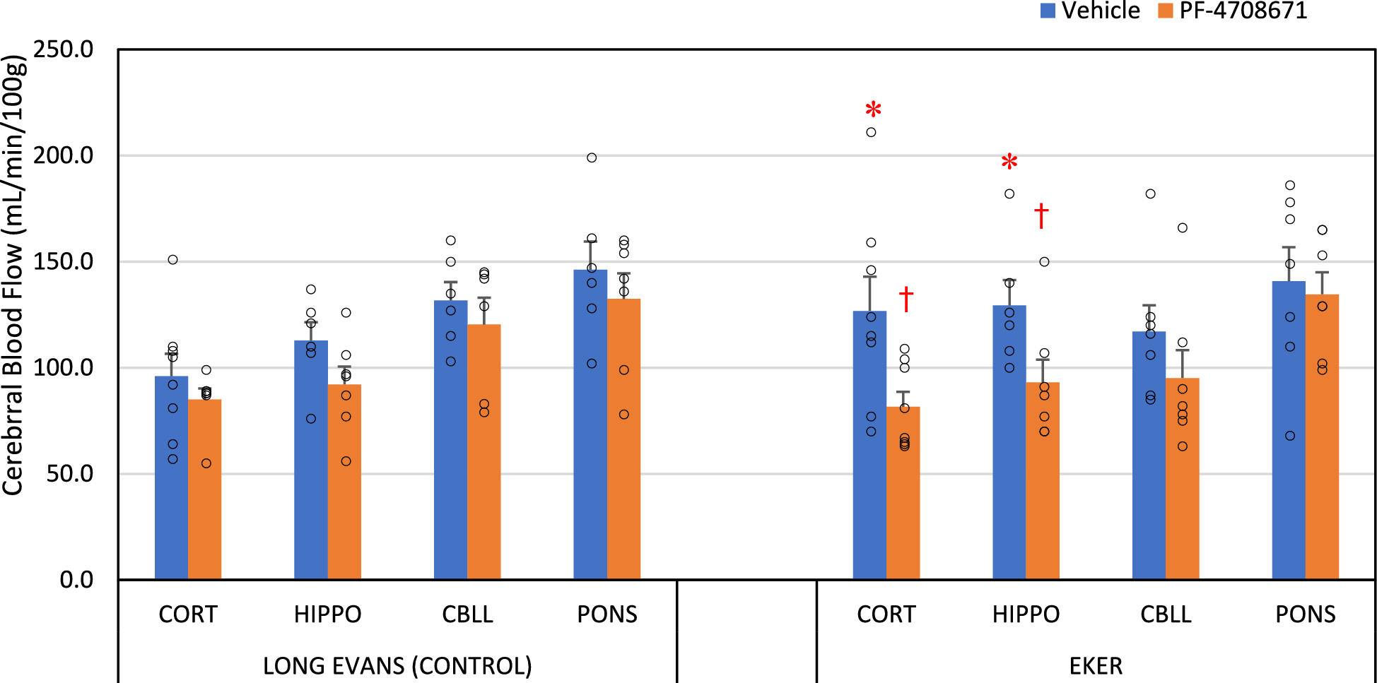 Inhibition of p70 Ribosomal S6 Kinase (S6K1) Reduces Cortical Blood Flow in a Rat Model of Autism-Tuberous Sclerosis