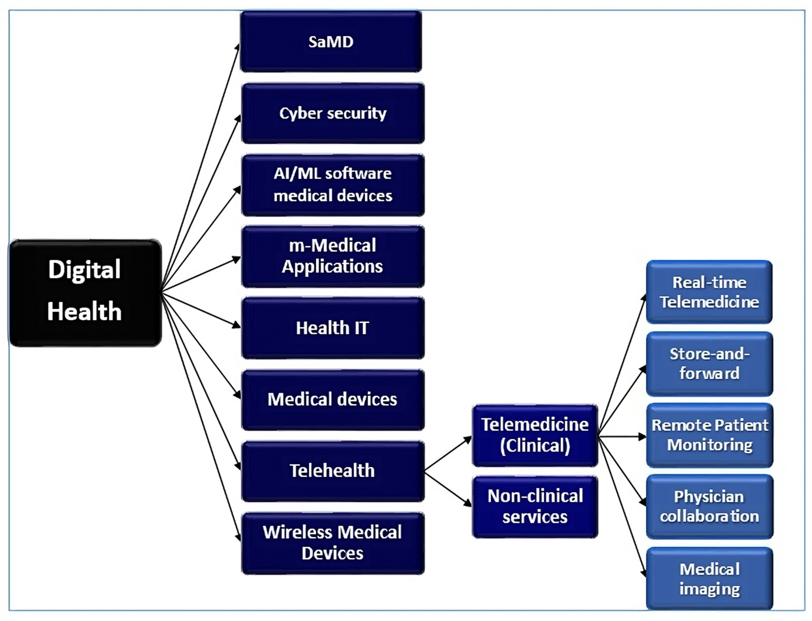 Innovative Applications of Telemedicine and Other Digital Health Solutions in Pain Management: A Literature Review