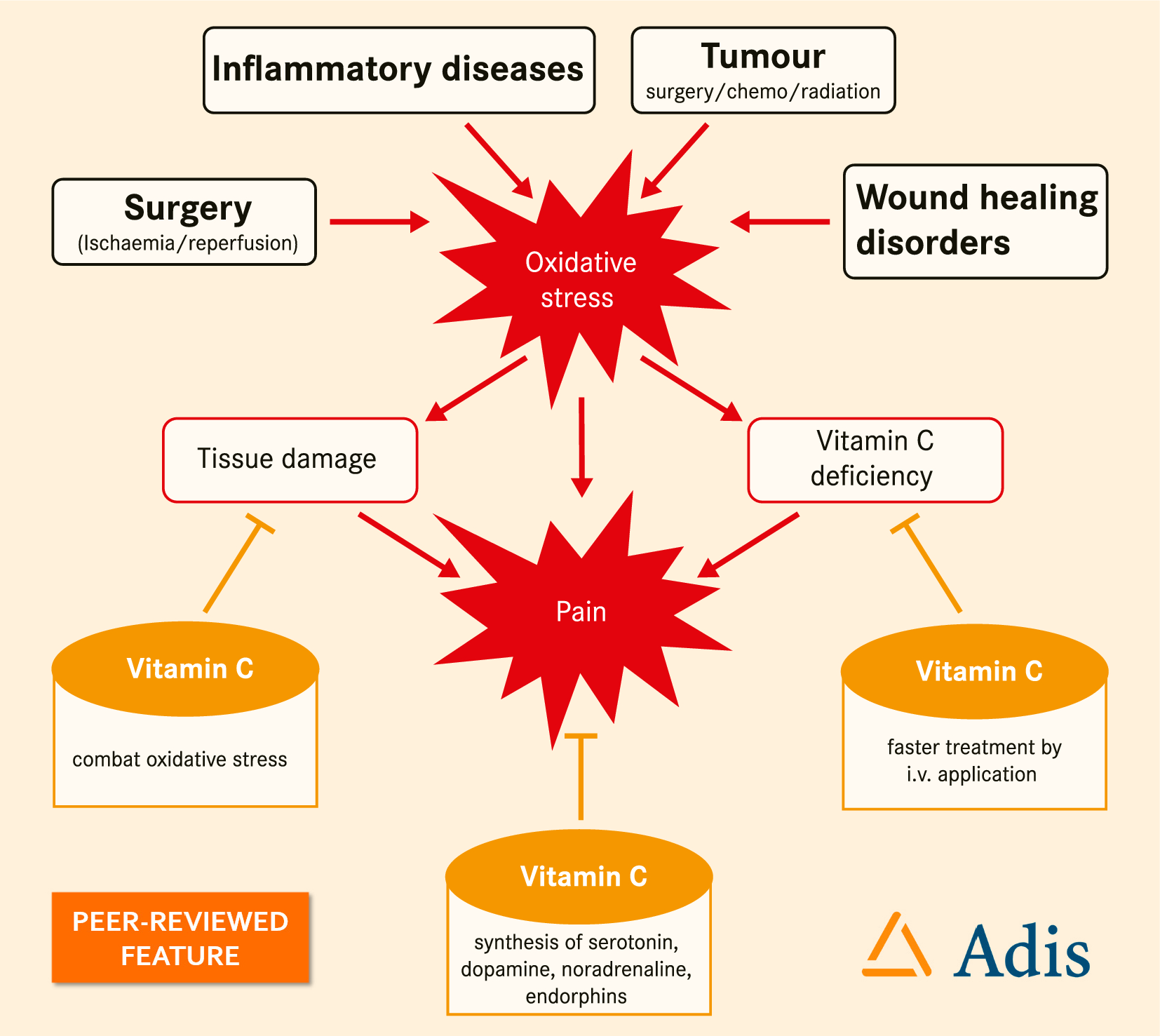 The Use of High-Dose Intravenous l-Ascorbate in Pain Therapy: Current Evidence from the Literature