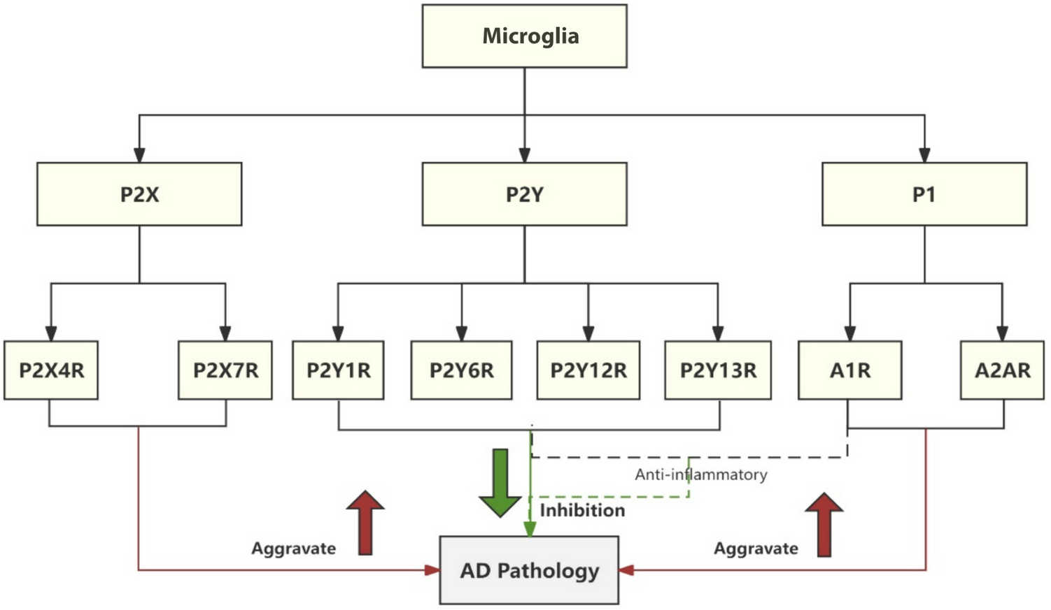 Microglial purinergic signaling in Alzheimer’s disease