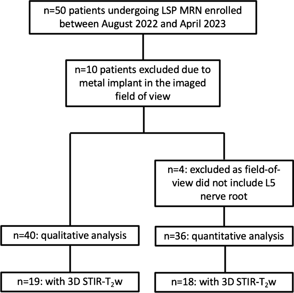 Improved 3D DESS MR neurography of the lumbosacral plexus with deep learning and geometric image combination reconstruction