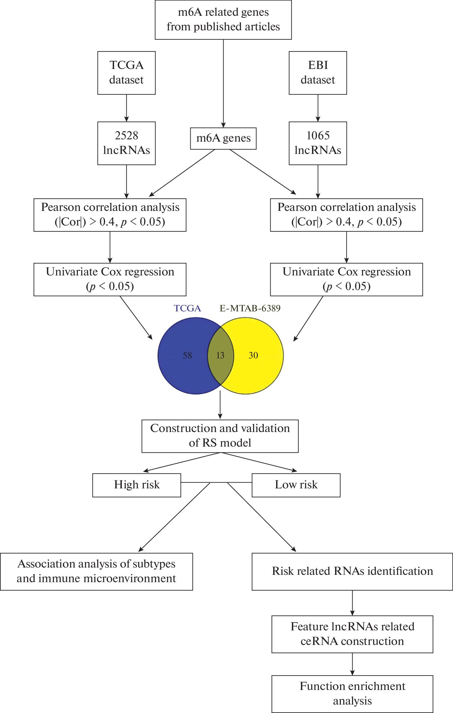 Construction of a Prognostic Risk Prediction Model Based on m6A-Associated Long Non-Coding RNAs in Cholangiocarcinoma