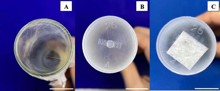 Alternative system for micropropagation of Prunus campanulata (Maxim.)