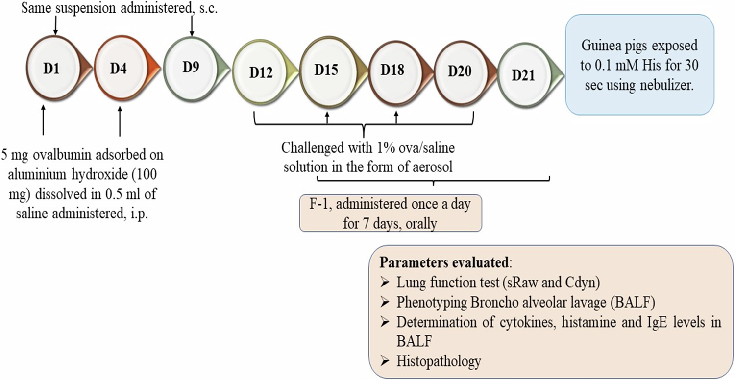 Airways Relaxant and Antiasthmatic Activity of Aconitum heterophyllum Wall ex Royle. Roots: A Mechanistic Insight