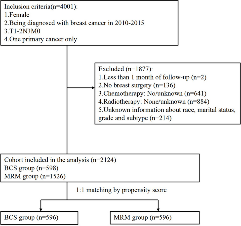 Breast-conserving surgery versus modified radical mastectomy in T1-2N3M0 stage breast cancer: a propensity score matching analysis