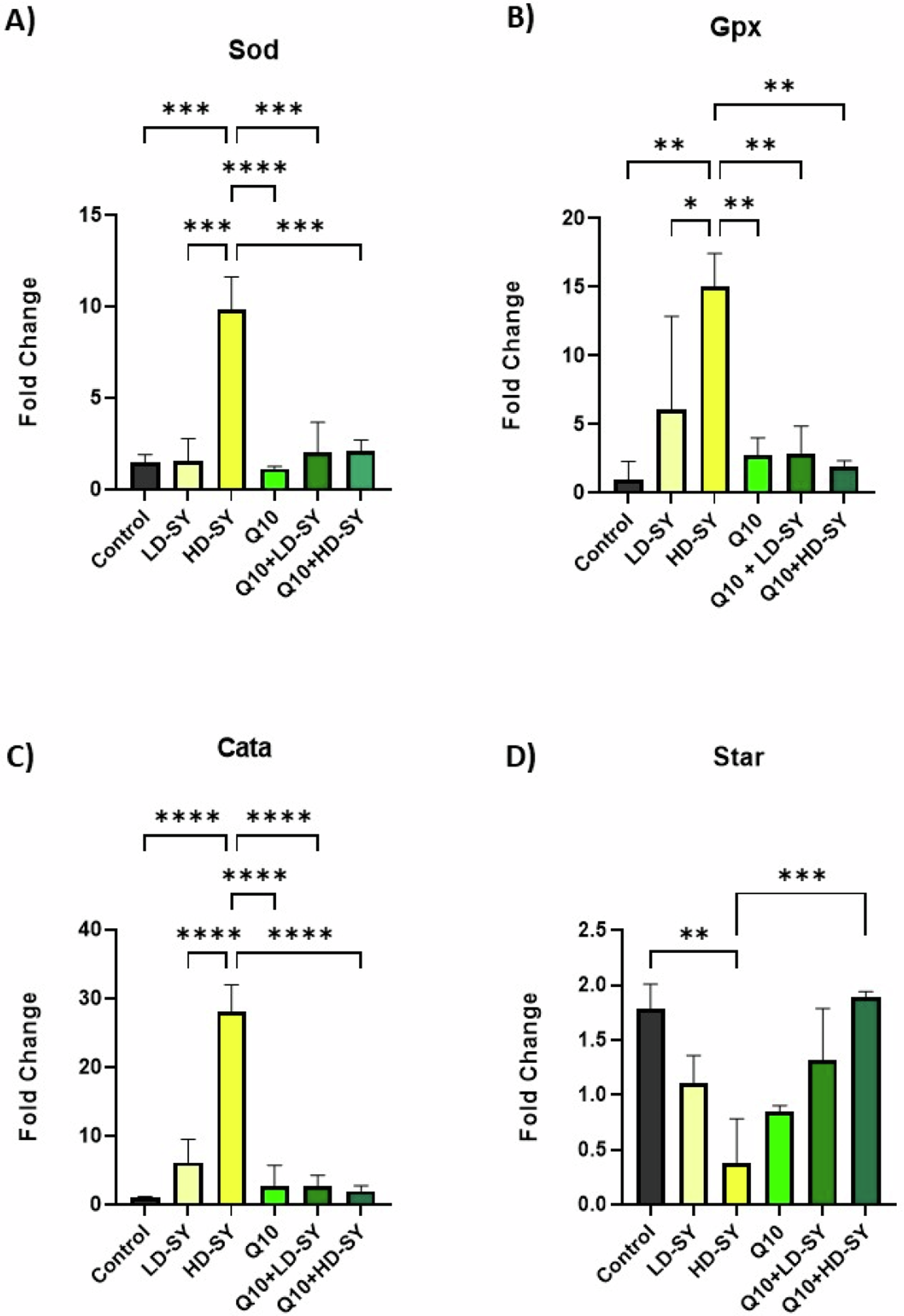 “Effect of Sunset Yellow on Testis: Molecular Evaluation, and Protective Role of Coenzyme Q10 in Male Sprague-Dawley Rats”