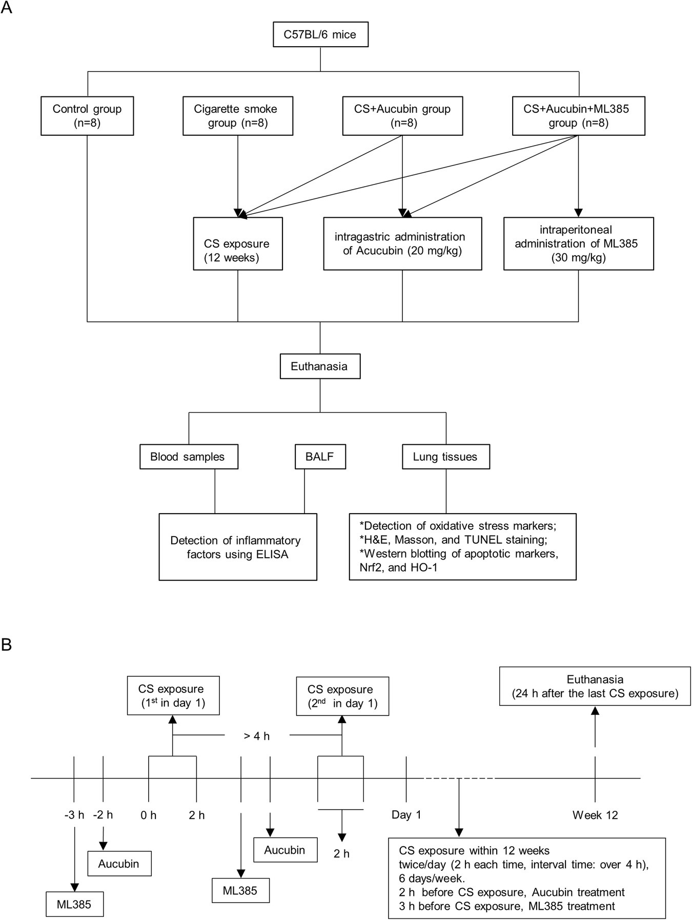 Aucubin Alleviates Chronic Obstructive Pulmonary Disease by Activating Nrf2/HO-1 Signaling Pathway