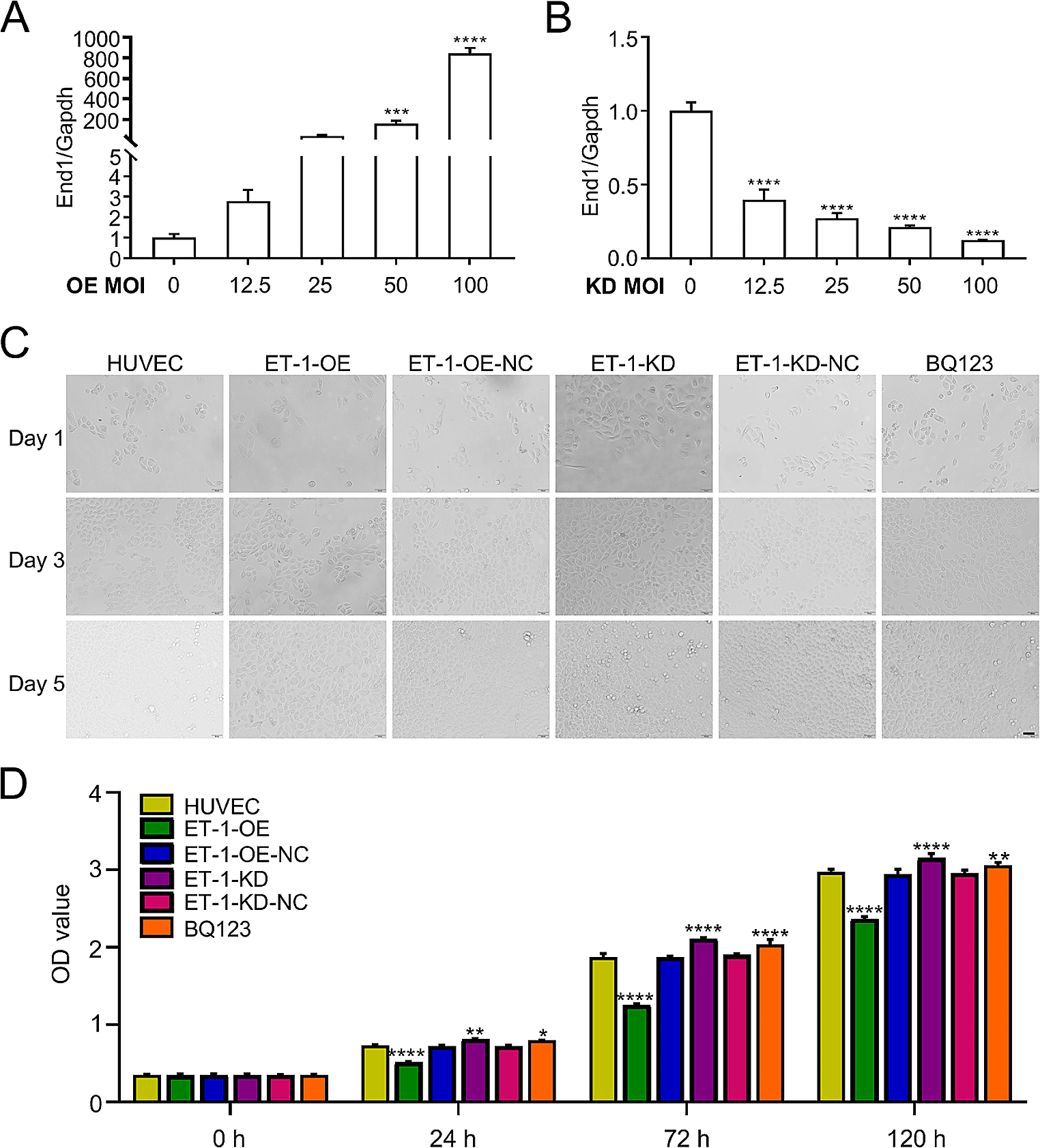 ET1 acts as a potential plasma biomarker and therapeutic target in deep venous thrombosis rat model