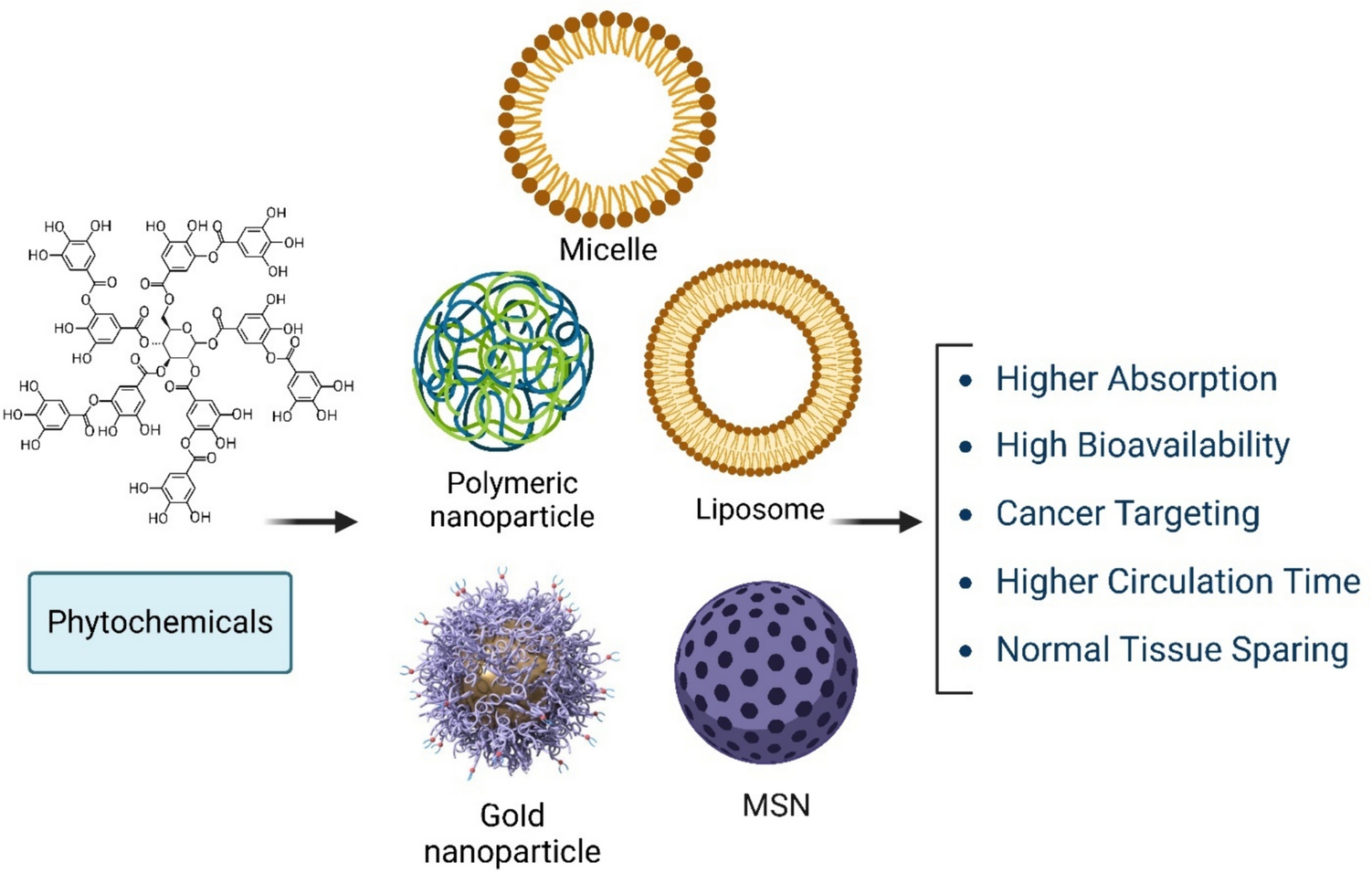 Targeting the pancreatic tumor microenvironment by plant-derived products and their nanoformulations