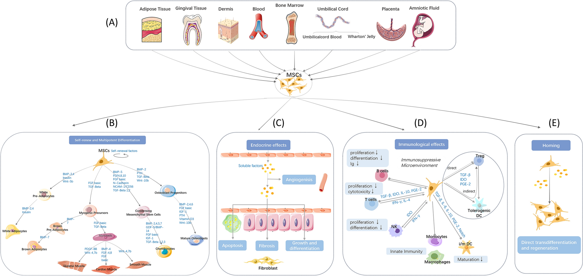 Single-cell sequencing advances in research on mesenchymal stem/stromal cells