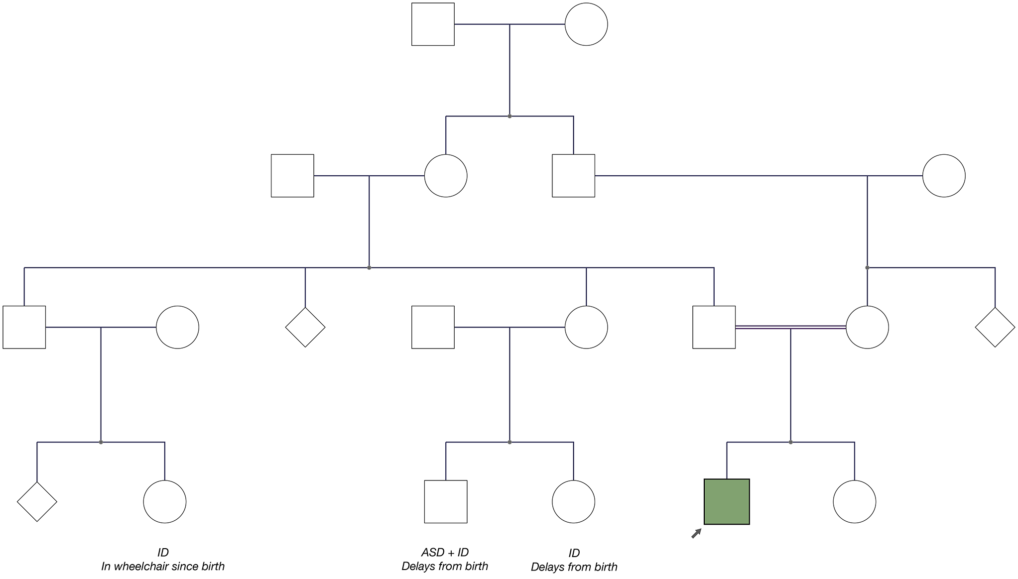 Kufor-Rakeb syndrome-associated psychosis: a novel loss-of-function ATP13A2 variant and response to antipsychotic therapy