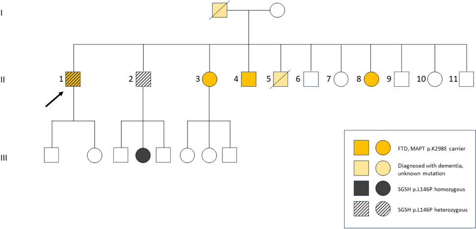 Clinical and neuroimaging characterization of the first frontotemporal dementia family carrying the MAPT p.K298E mutation