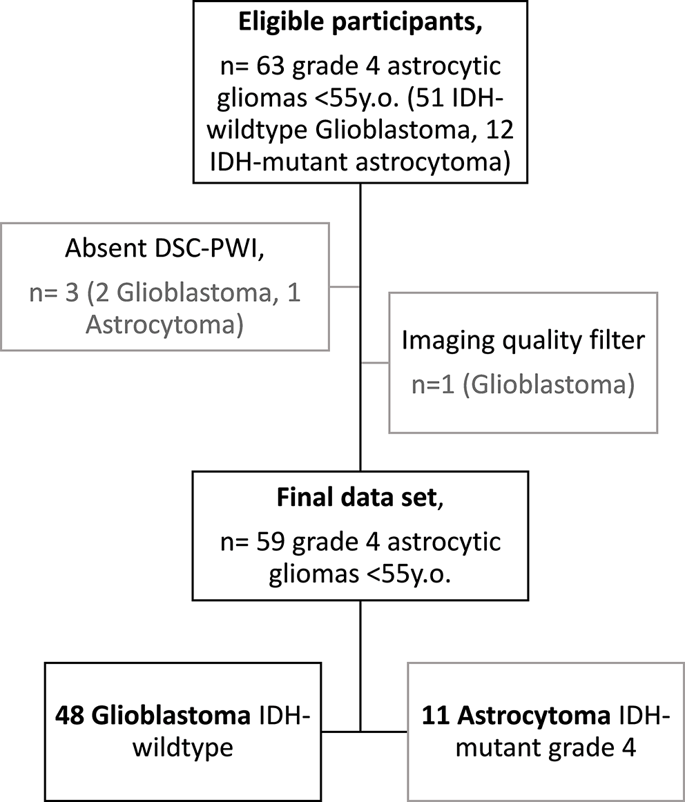 DSC-PWI presurgical differentiation of grade 4 astrocytoma and glioblastoma in young adults: rCBV percentile analysis across enhancing and non-enhancing regions