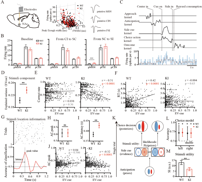 Correction: Frontostriatal circuit dysfunction leads to cognitive inflexibility in neuroligin-3 R451C knockin mice