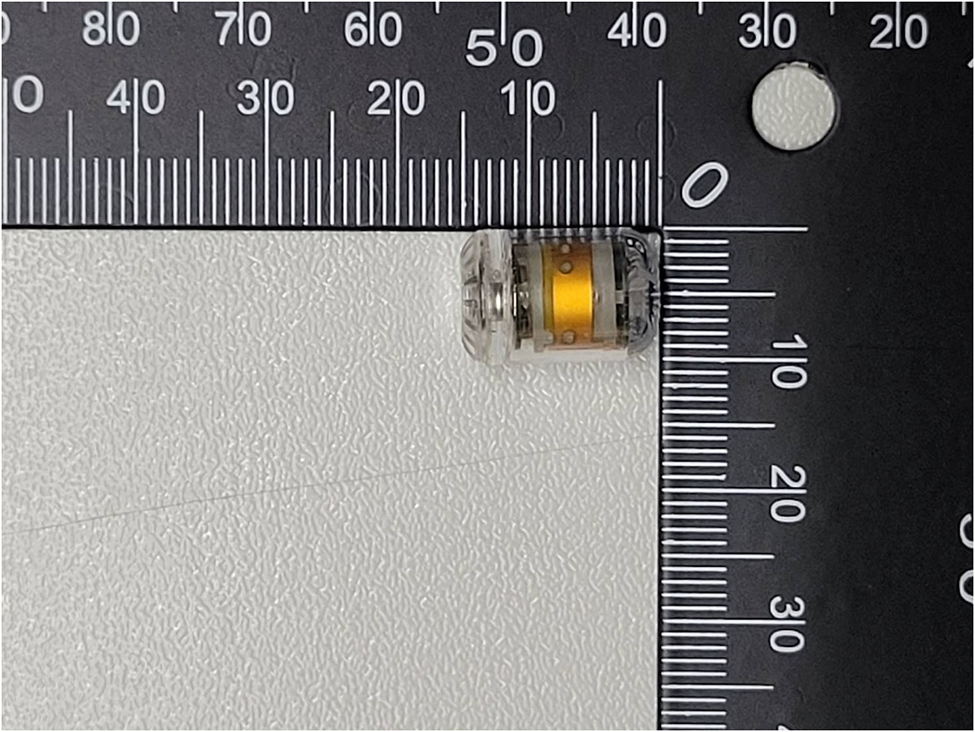 Validation of continuous intraabdominal pressure measurement: feasibility and accuracy assessment using a capsular device in in-vivo studies