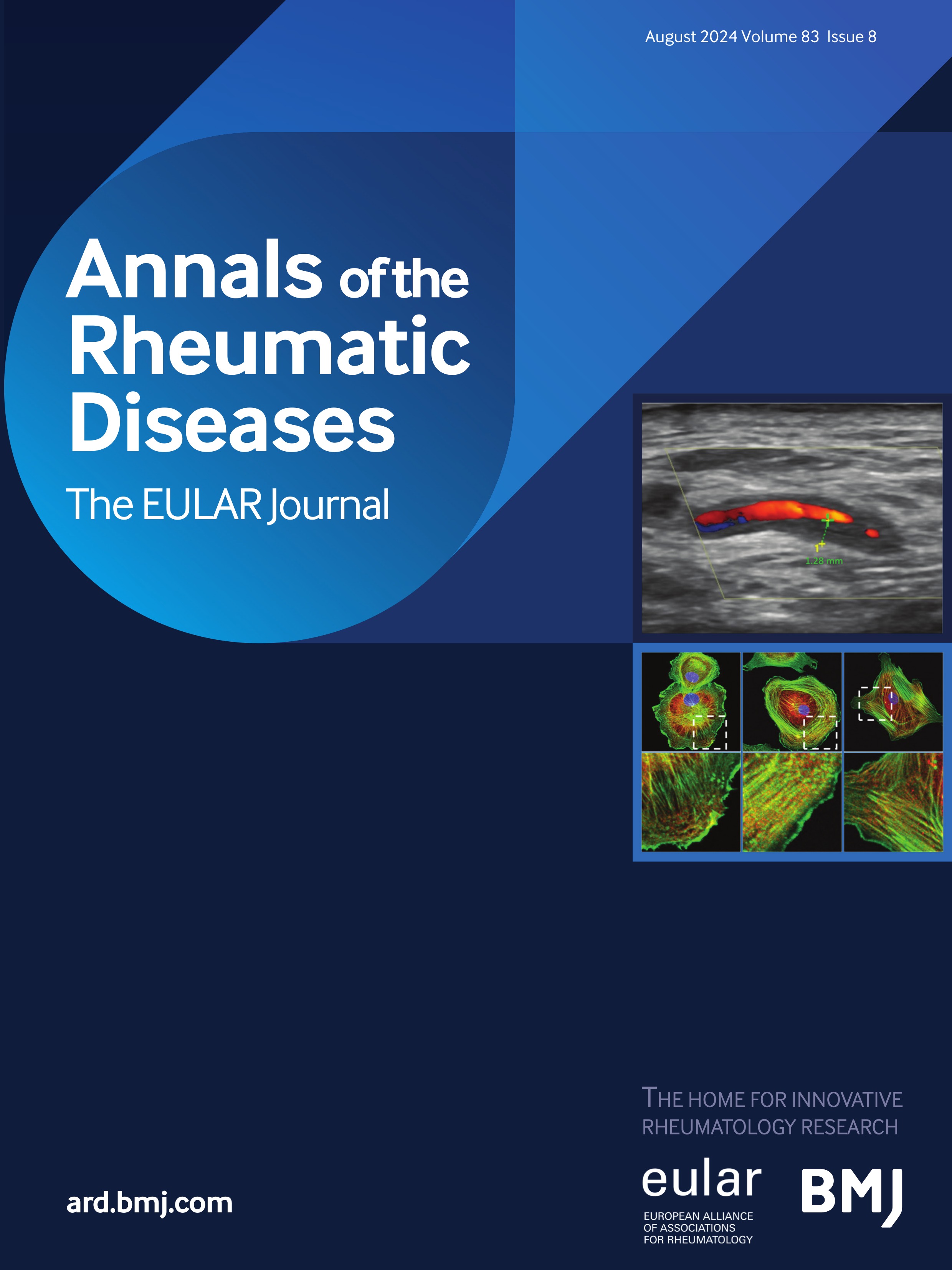 Validation and incorporation of digital entheses into a preliminary GLobal OMERACT Ultrasound DActylitis Score (GLOUDAS) in psoriatic arthritis